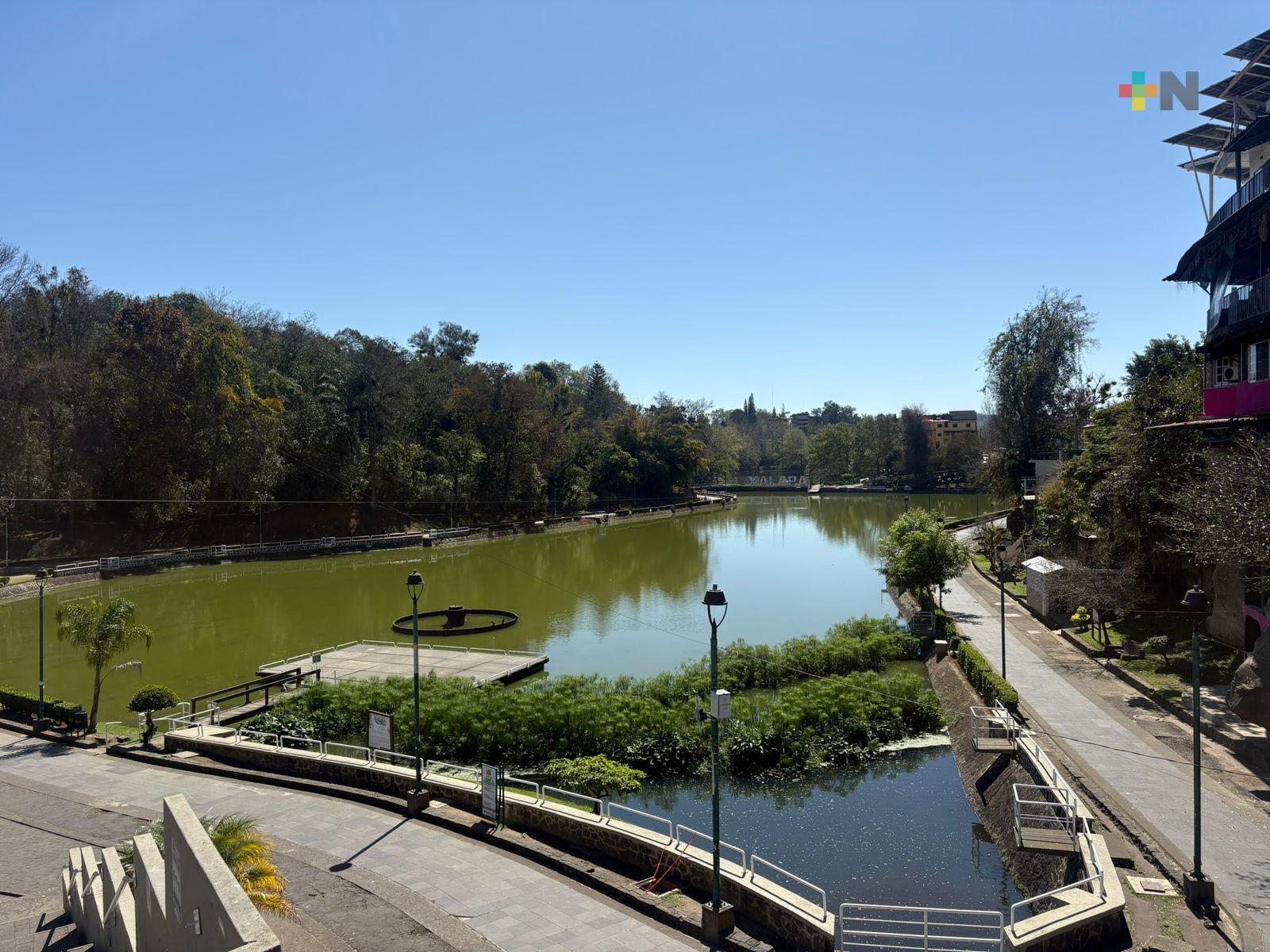 Contemplan labores de mejora y saneamiento en Los Lagos