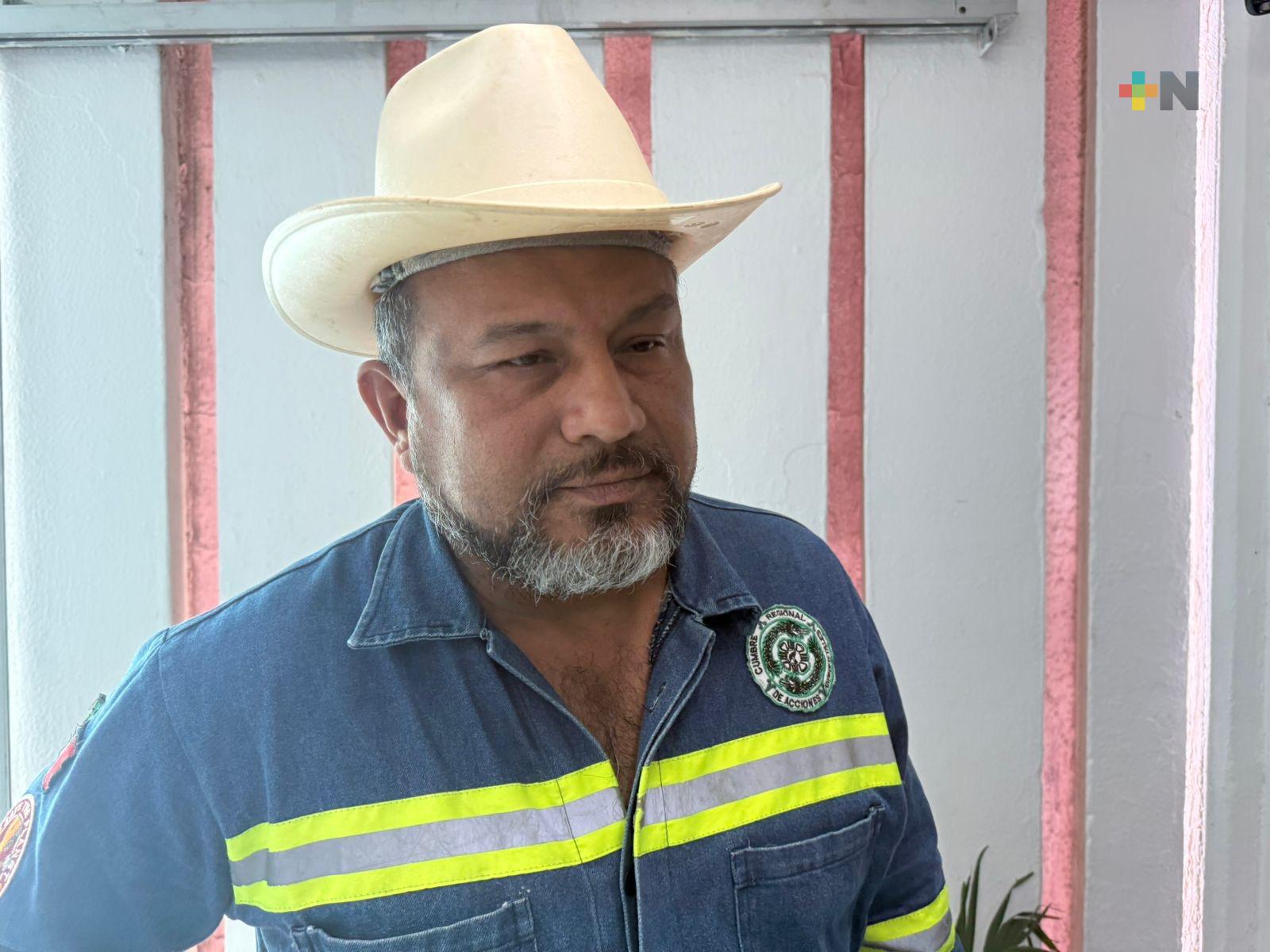 Temporada de anidación de tortugas marinas en riesgo por derrame de hidrocarburos