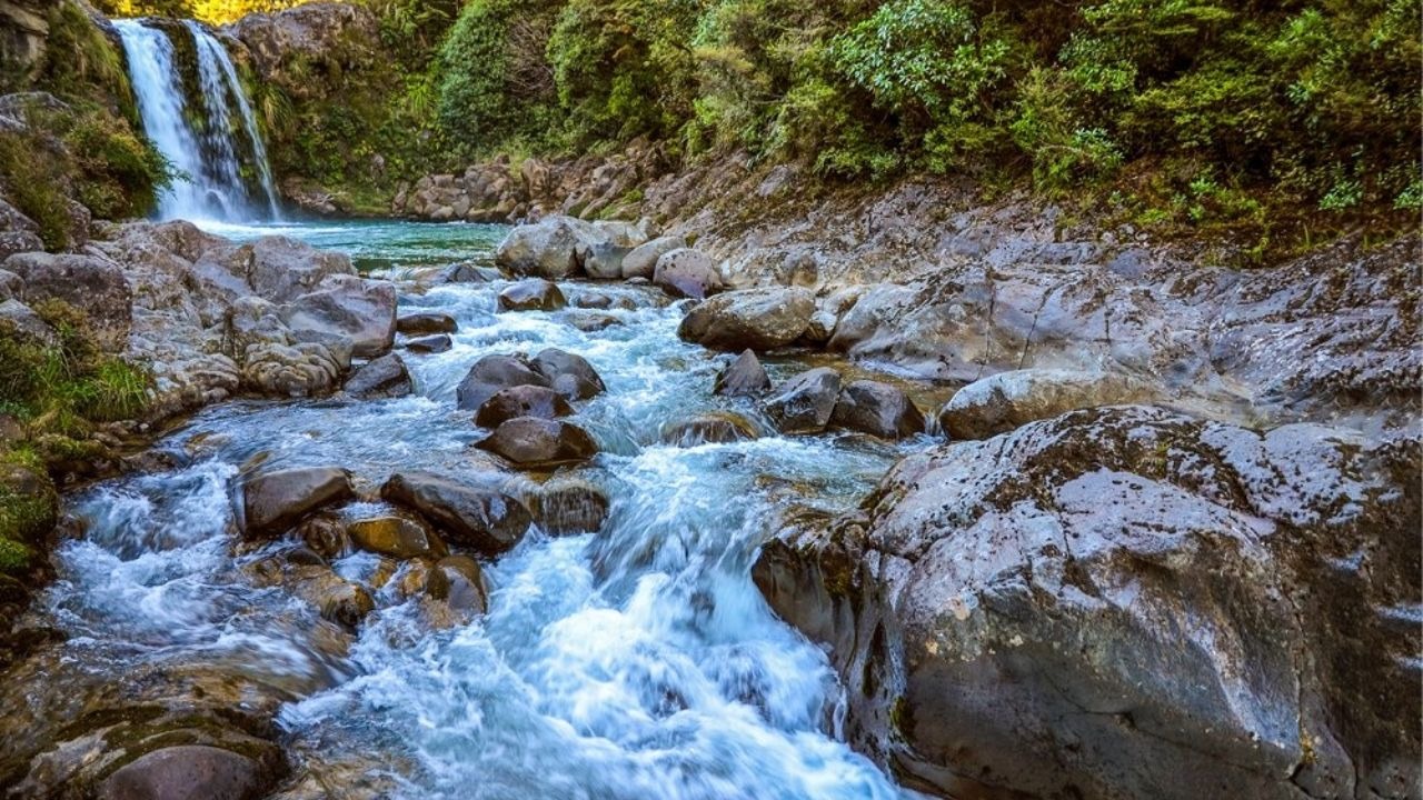 Día Internacional de Acción por los Ríos