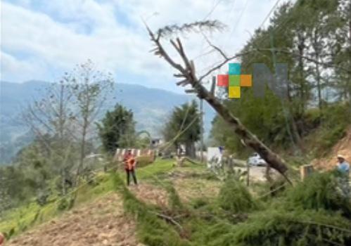 Daños menores causa frente frío 41 en la Huasteca y sierra de Huayacocotla