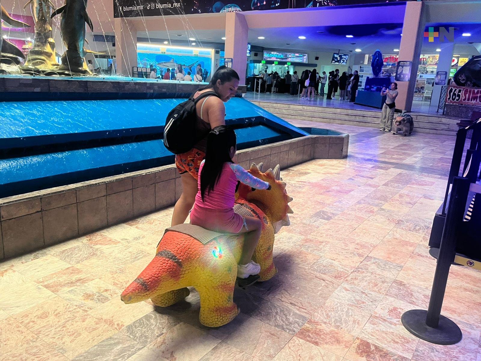 Turistas disfrutan de actividades recreativas en municipio de Veracruz