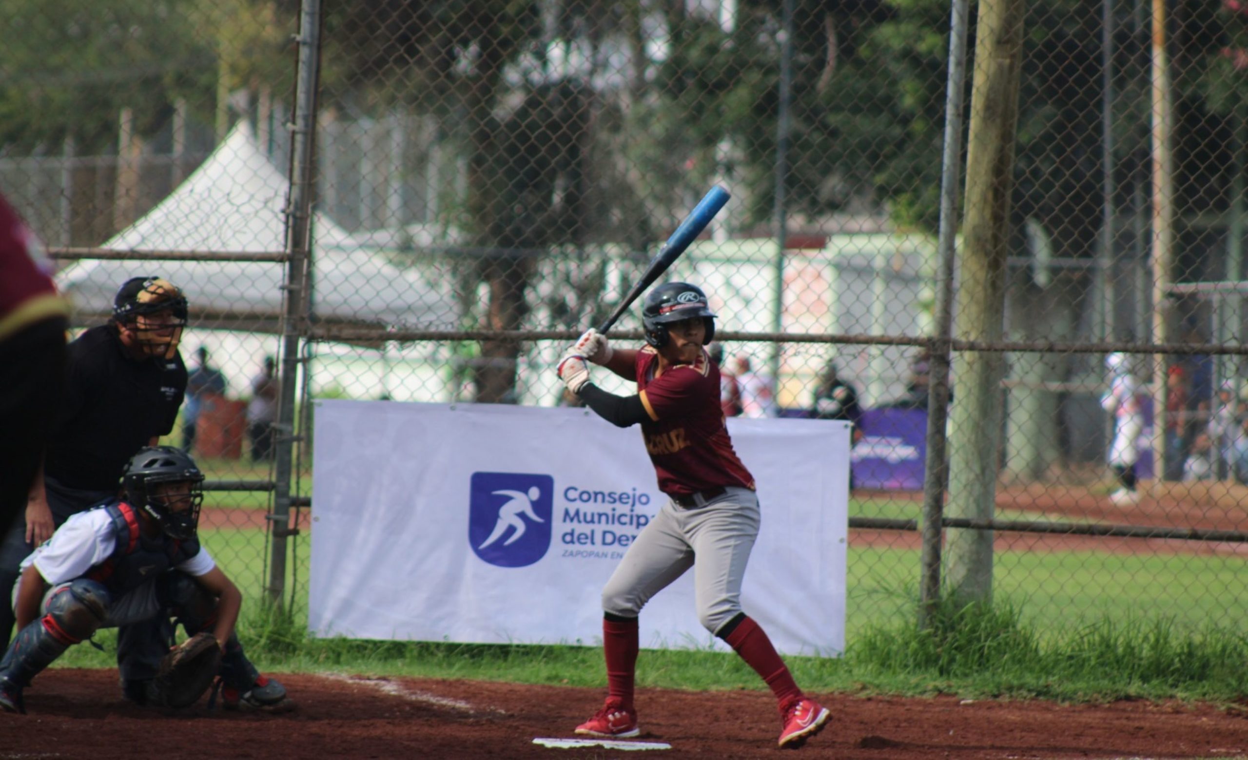 Se proyectan peloteros veracruzanos al beisbol de Grandes Ligas