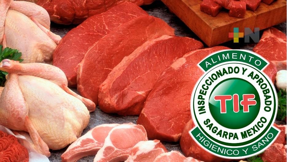 Sector cárnico mexicano busca mayor competitividad con miras a revisión del T-MEC