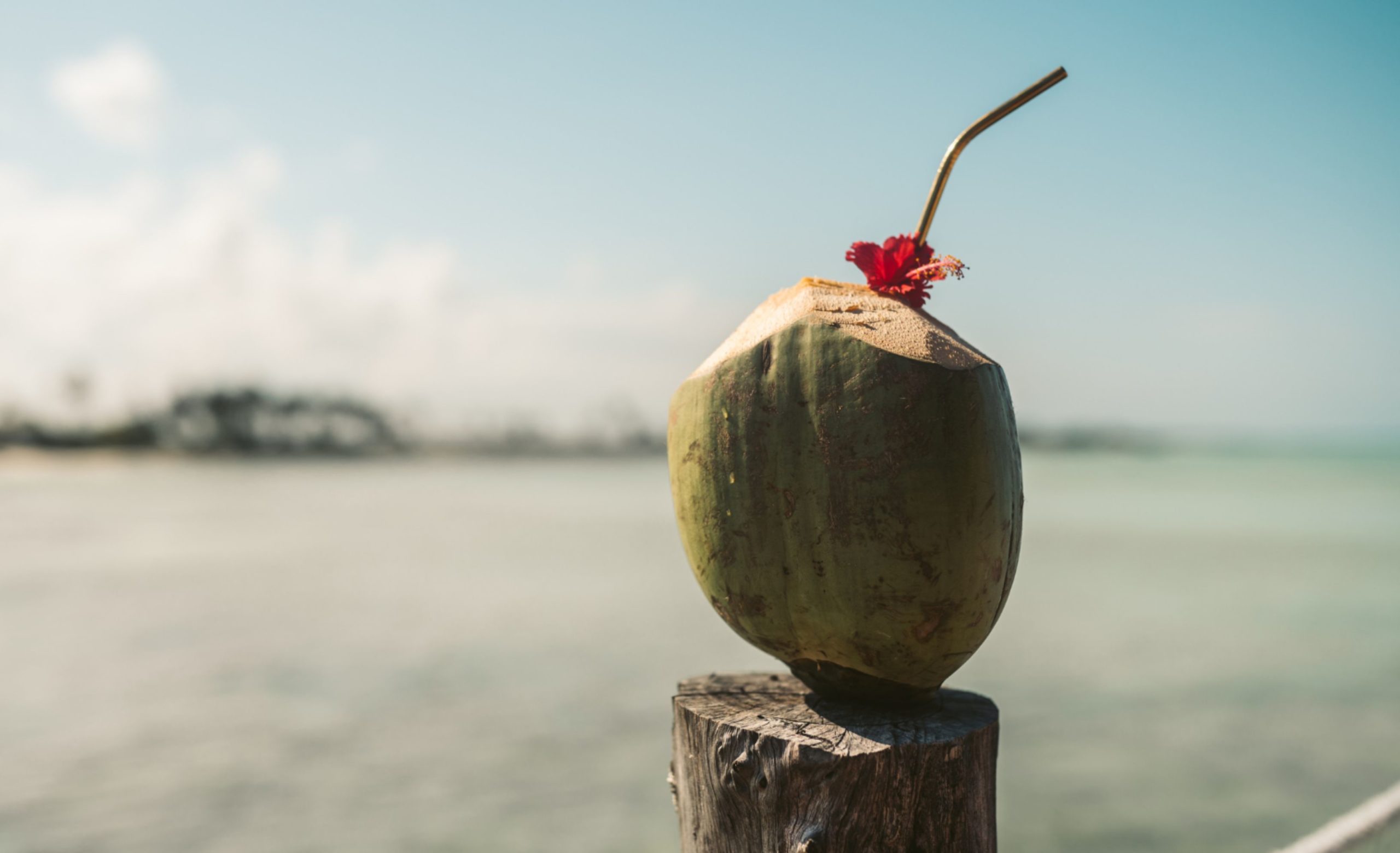 Venta de cocos fríos y raspados, en espera de mejores condiciones climáticas