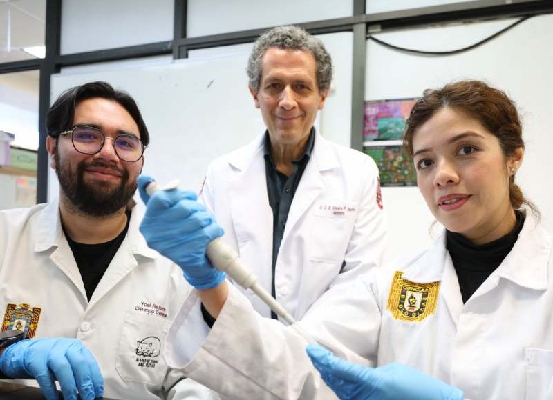 Con células madre, el IPN avanza en la regeneración de huesos, cartílago y tejido muscular