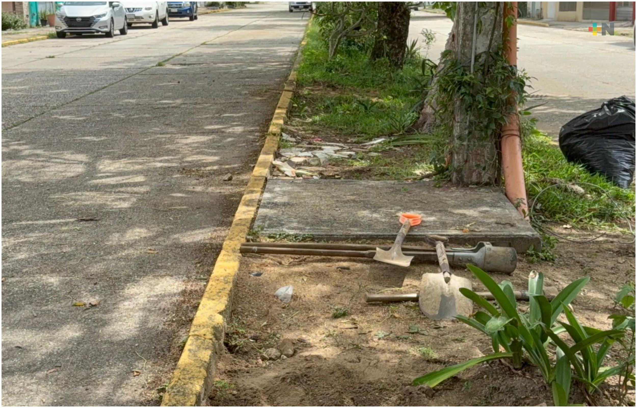 Denuncian envenenamiento de perros en centro de Coatzacoalcos