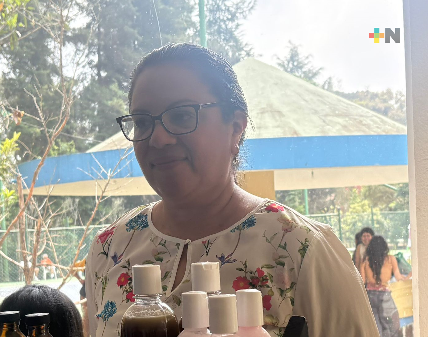 Deforestación destruye sitios de anidación de abejas y las pone en riesgo