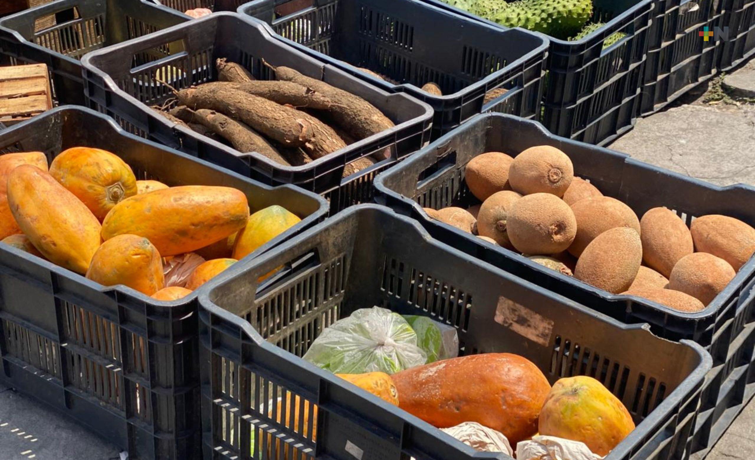 Evento de norte afecta producción de mangos