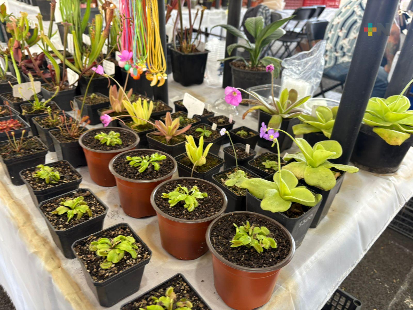 Hospital de plantas tiene cada vez más demanda