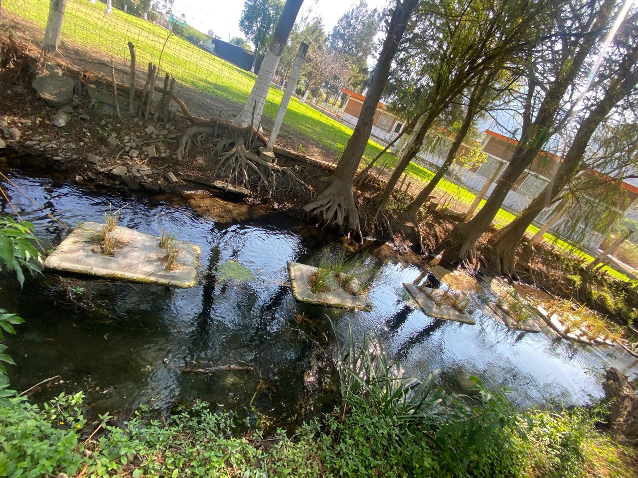 Con humedales artificiales, alumnos del Tecnológico de Zongolica reducen contaminación