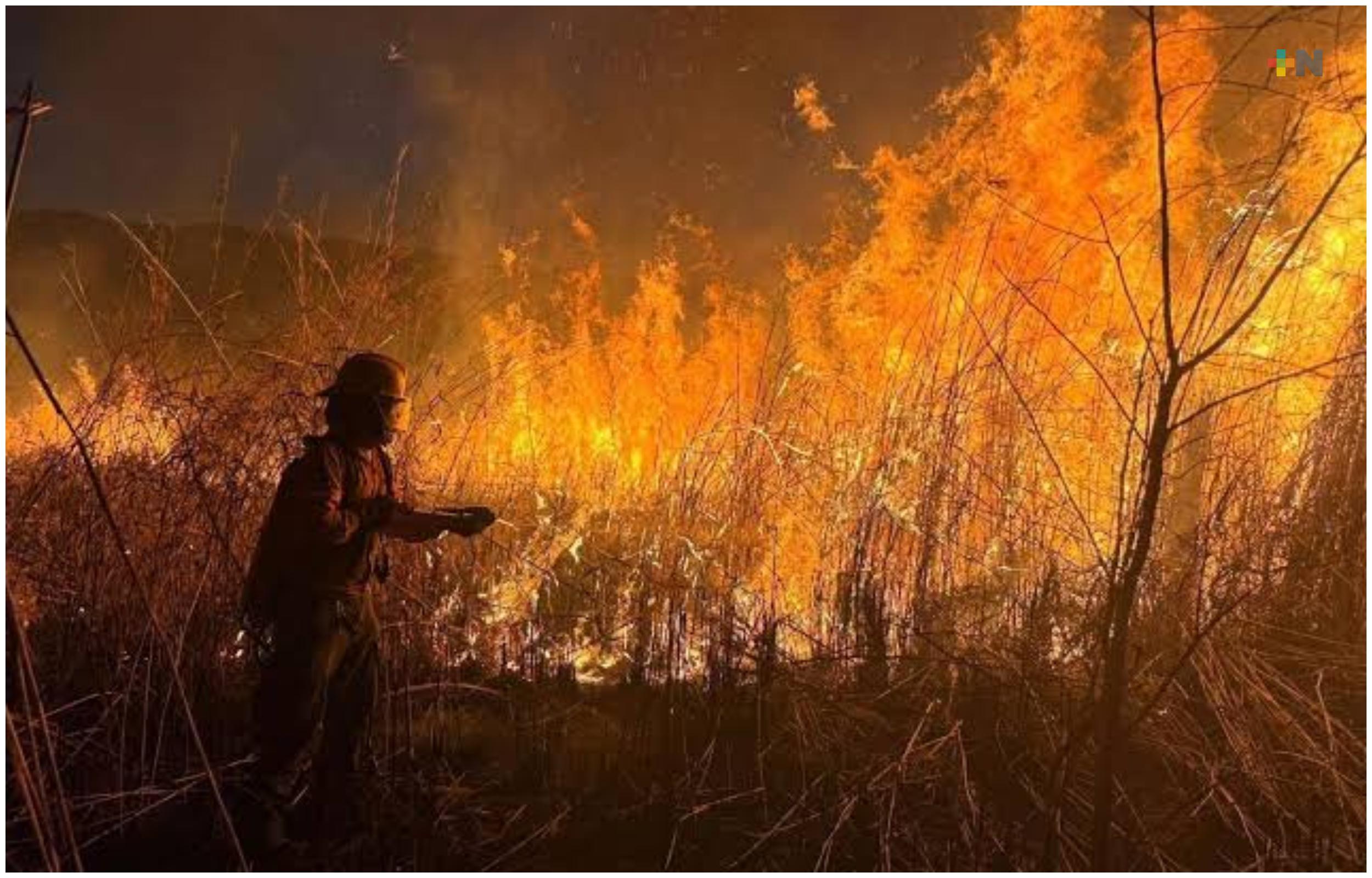 Atienden más de 20 incendios de pastizal en lo que va de la temporada