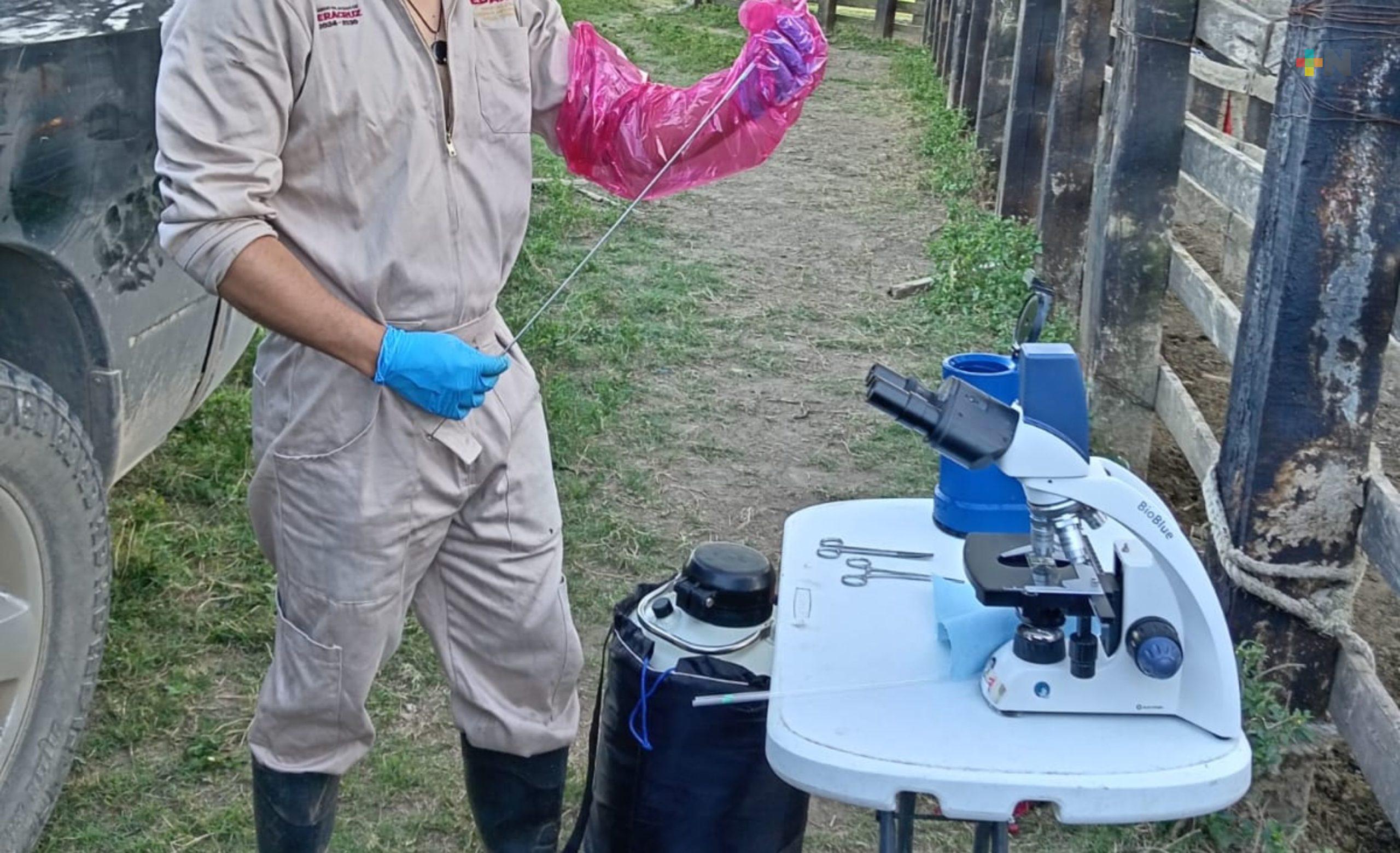 Laboratorios móviles brindan atención técnica y servicios de diagnóstico zoosanitario
