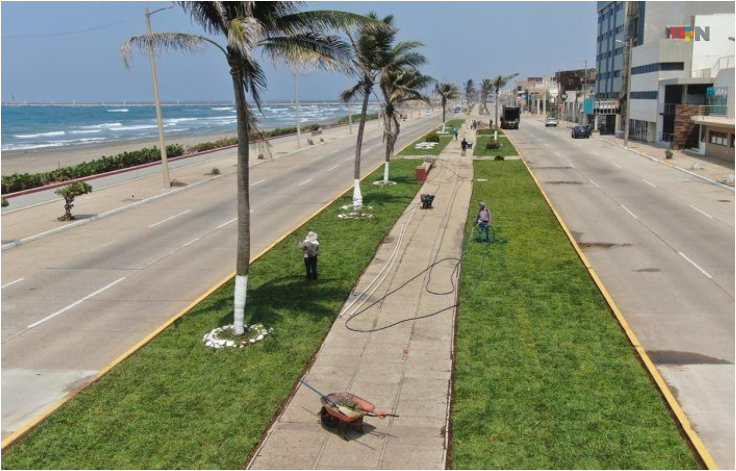Cerrarán tramo del malecón de Coatzacoalcos para eliminar criaderos del dengue