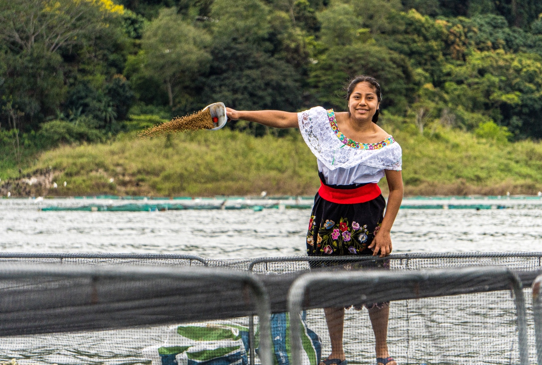 Mujeres de mar y agua dulce: el motor de la pesca en México