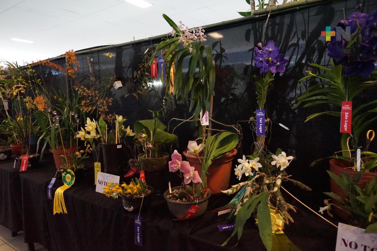 Invita SECVER a Festival Internacional de la Orquídea 2026 en Coatepec