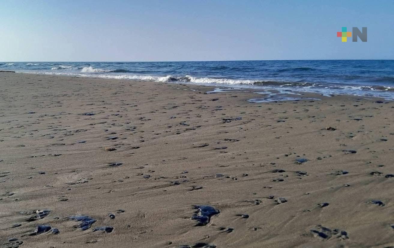 Pemex descarta fuga en sus instalaciones tras presencia de hidrocarburo en playas