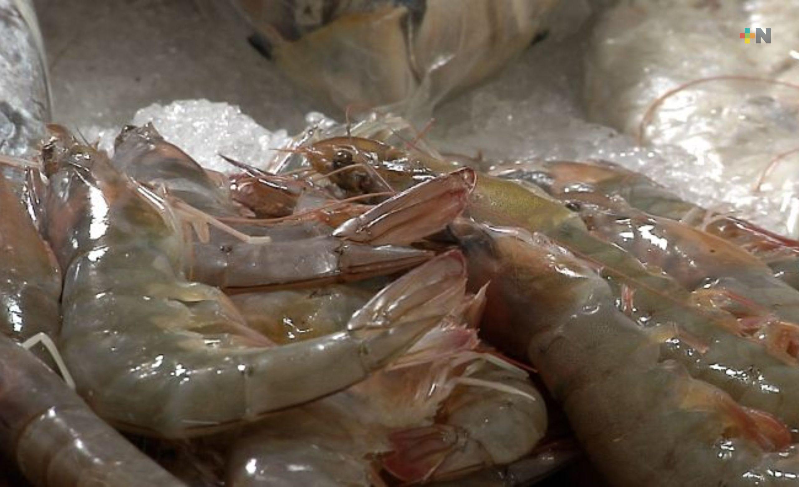 Comerciantes desmienten riesgos sanitarios por consumo de mariscos