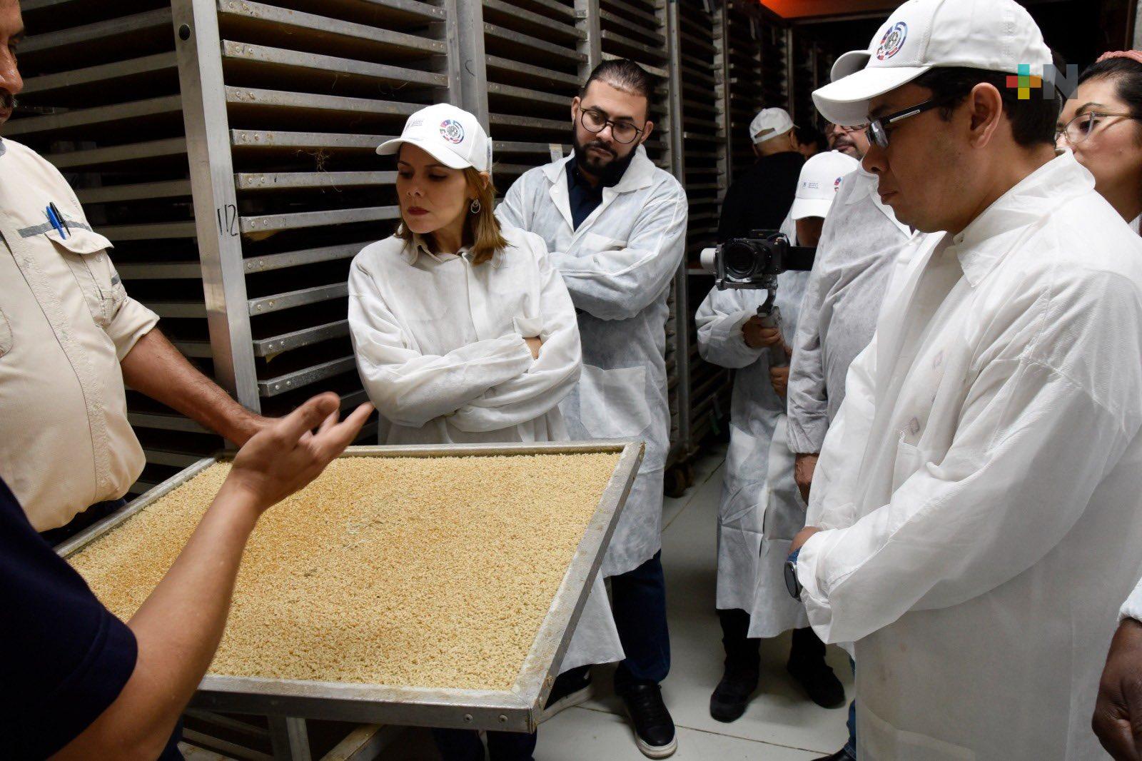 Programa Moscamed: cooperación regional para proteger sanidad agroalimentaria