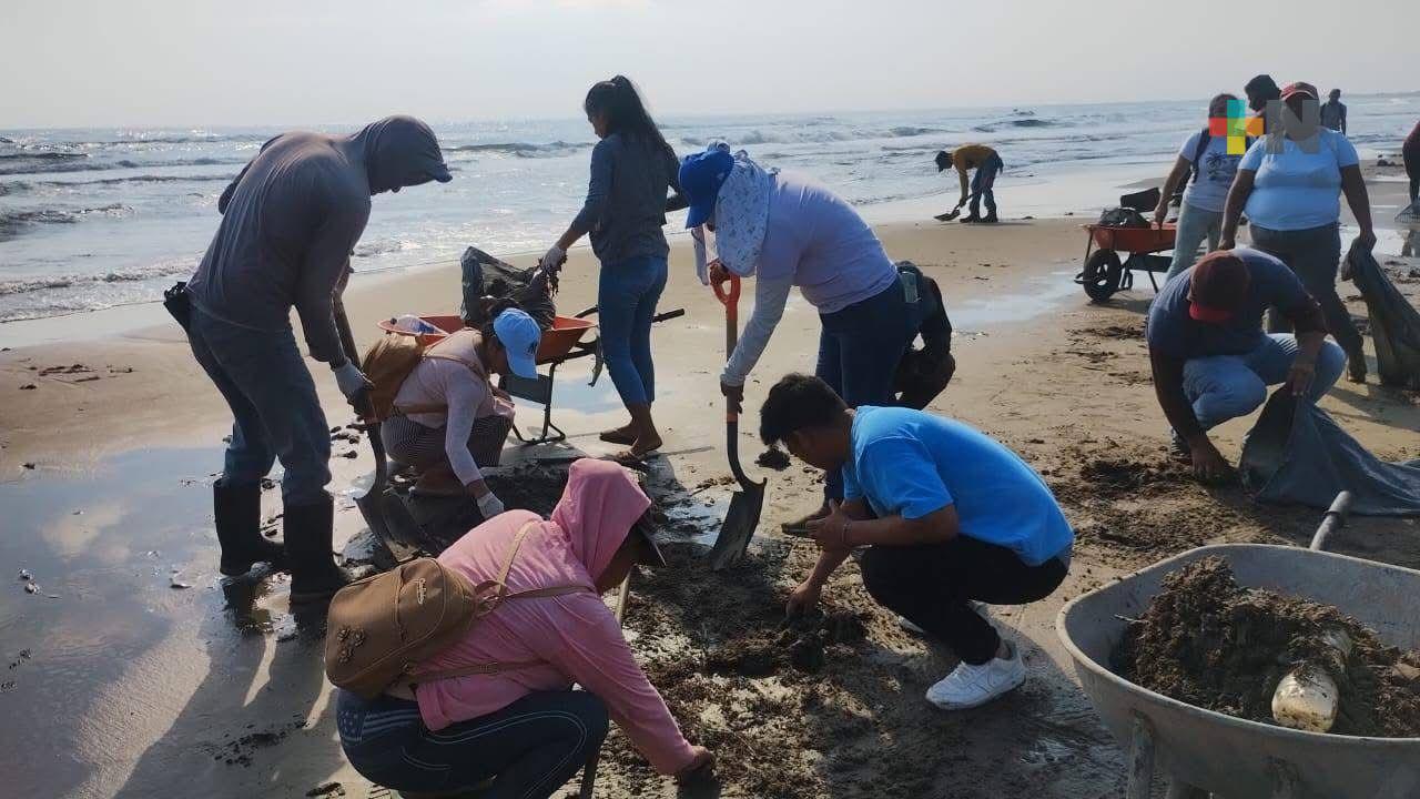 Realizan limpieza en playa en Pajapan