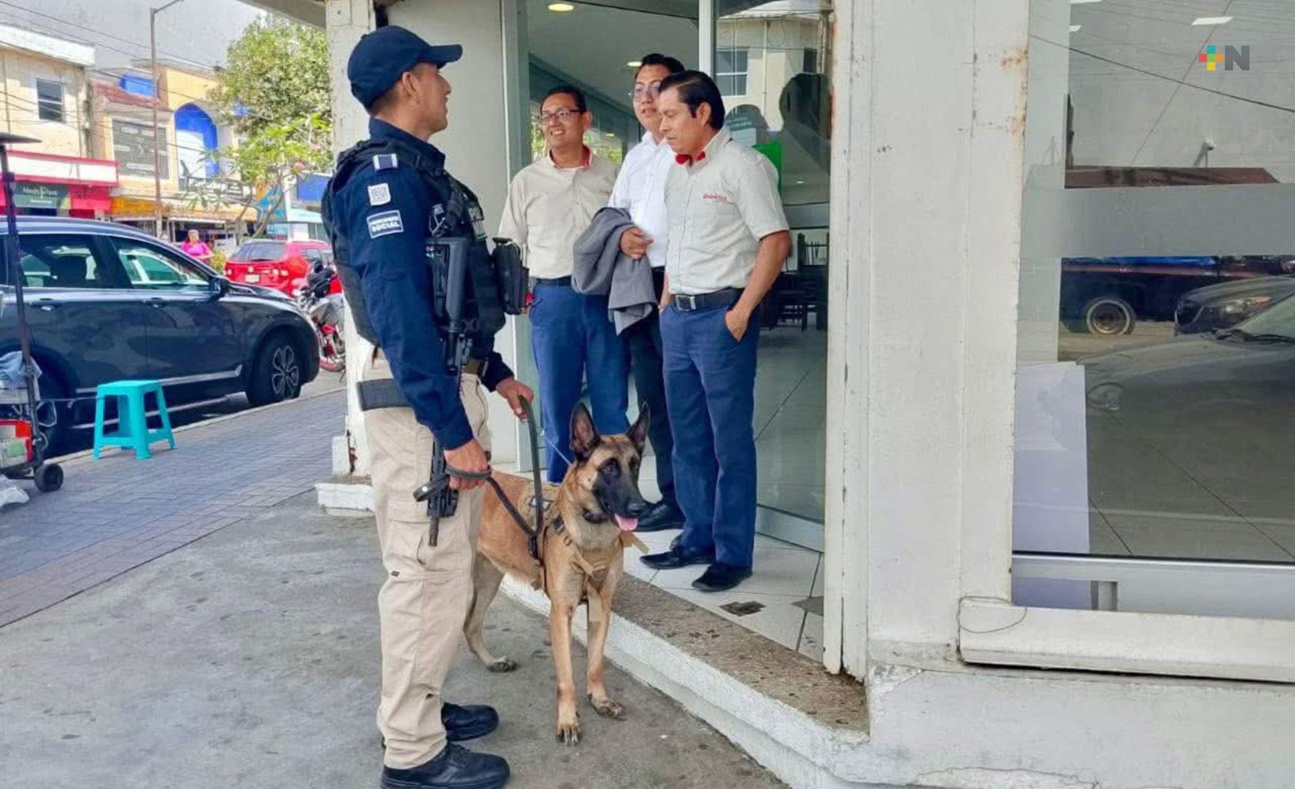 Registran tendencia a la baja en incidencia delictiva