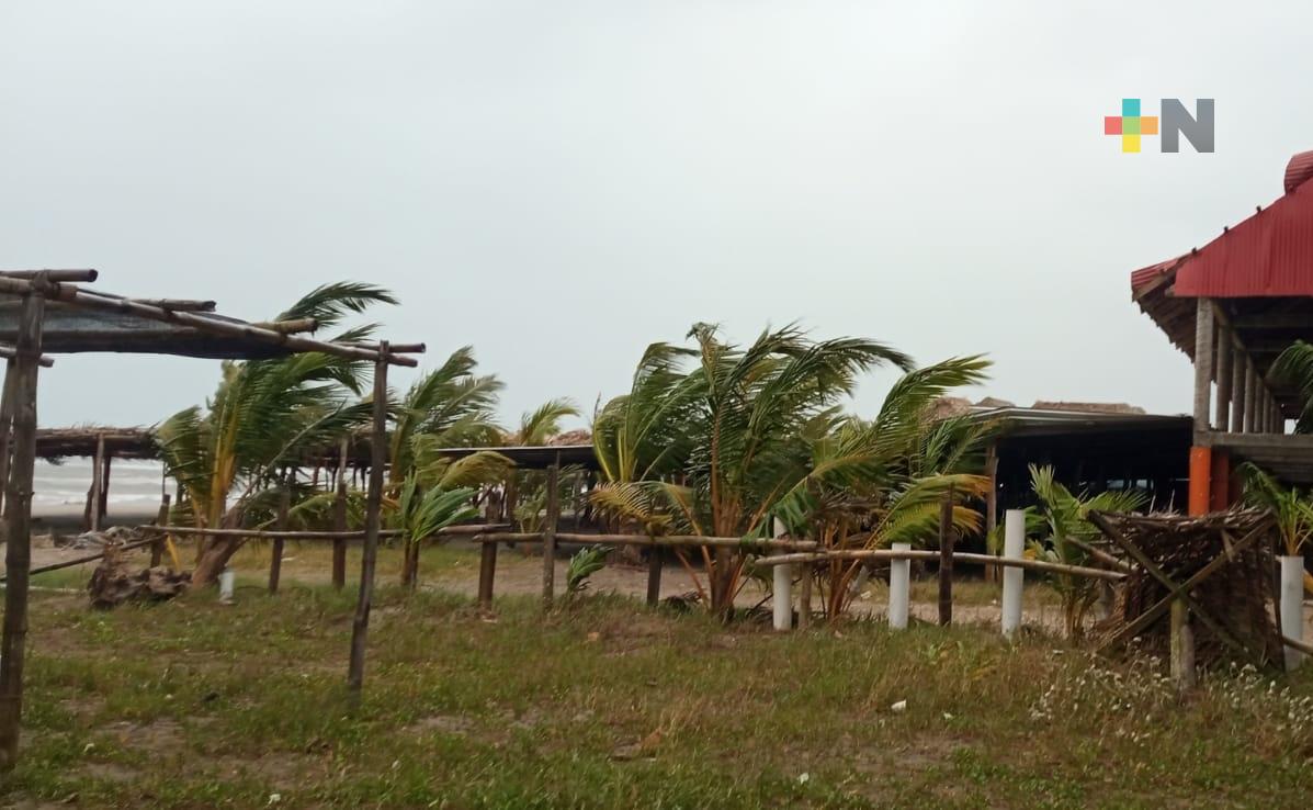 Frente frío 41 no causó daños significativos en zona centro-norte de Veracruz