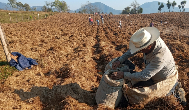 Administración estatal ha apoyado a productores pecuarios, acuícolas y agrícolas