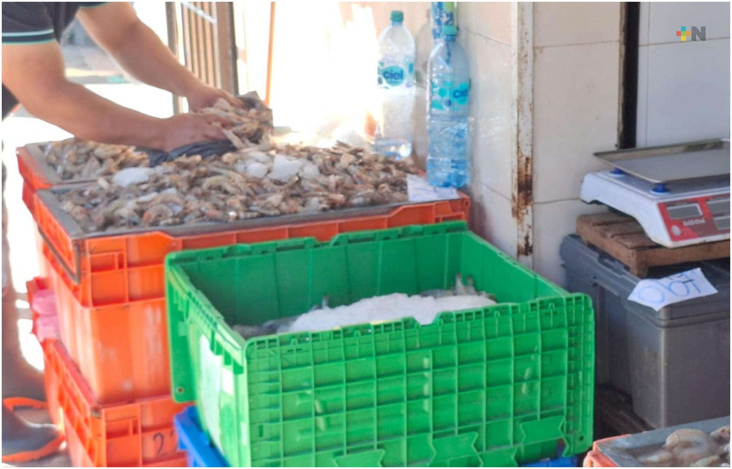 Con permisos venderán mariscos en calles de Xalapa