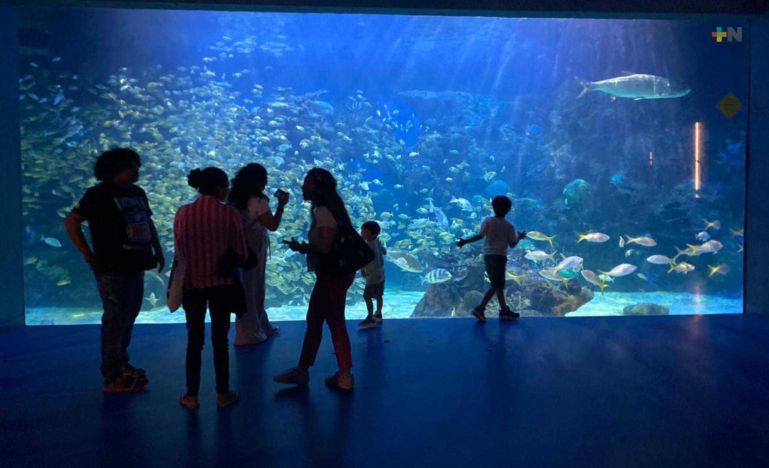 Veracruz se fortalece como destino turístico rumbo a Semana Santa 2026