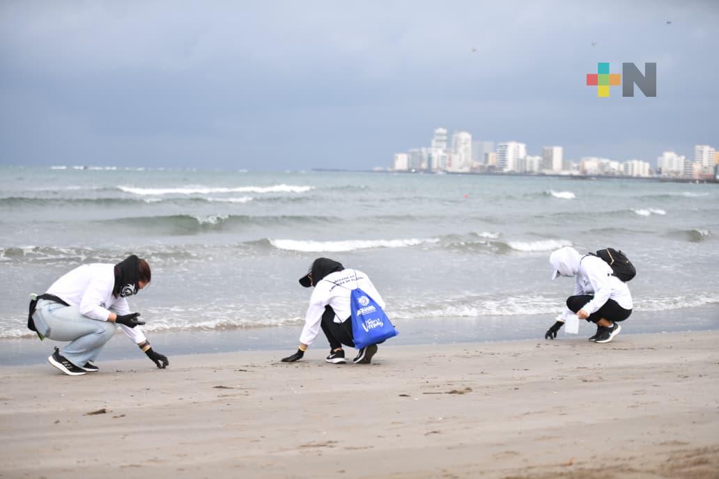 Con brigadas de limpieza en Villa del Mar, garantizada la llegada de visitantes: PMA