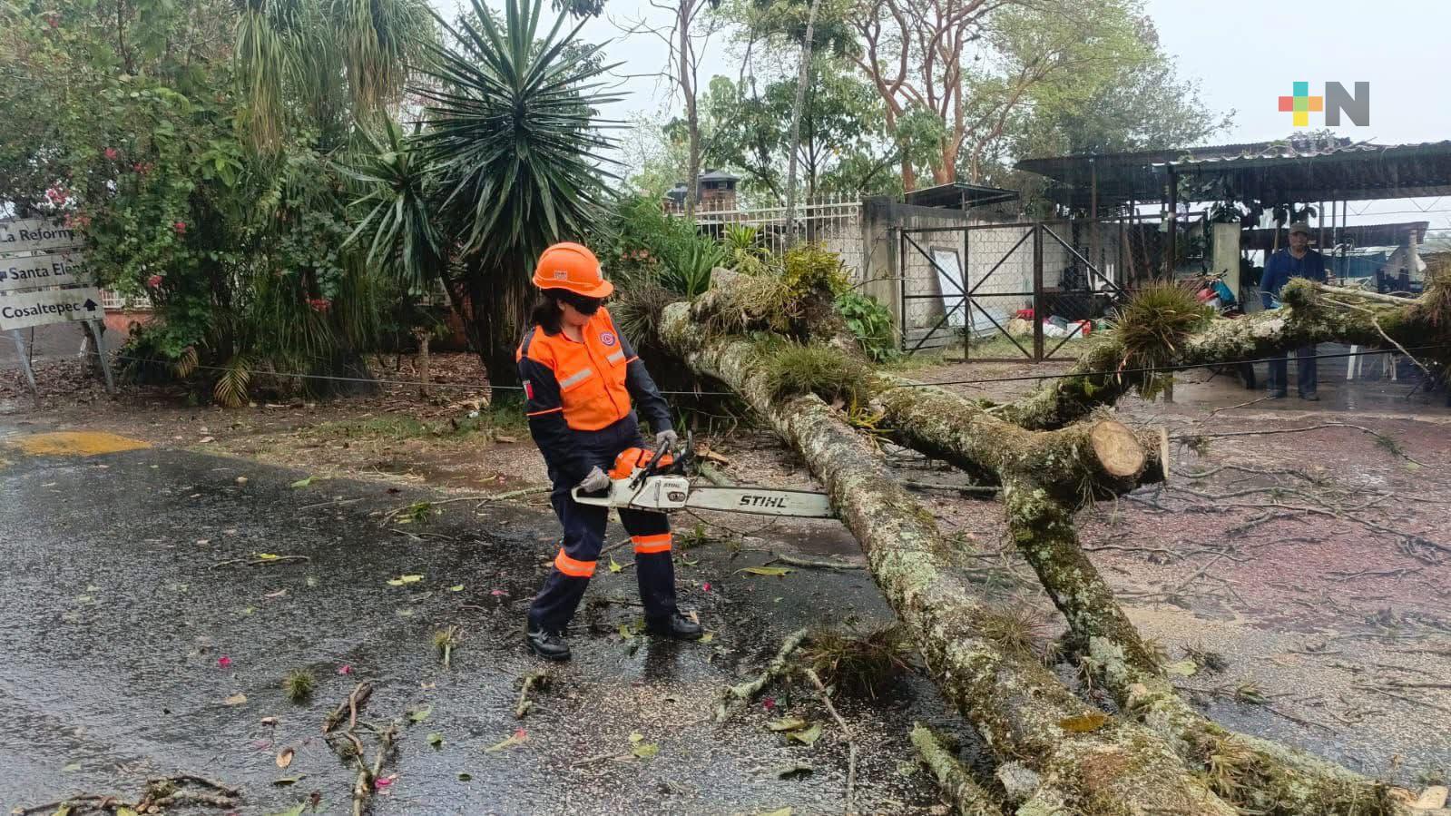 Afectados 41 municipios por evento de norte; afectaciones son atendidas: Rocío Nahle