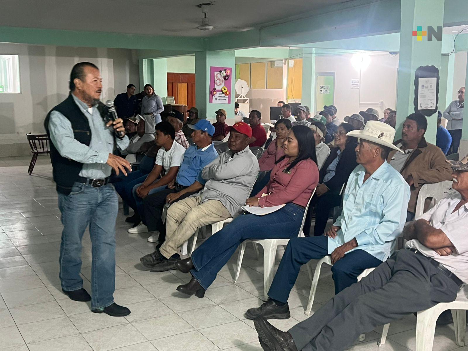 Cañeros veracruzanos evalúan avance de la zafra 2025-2026