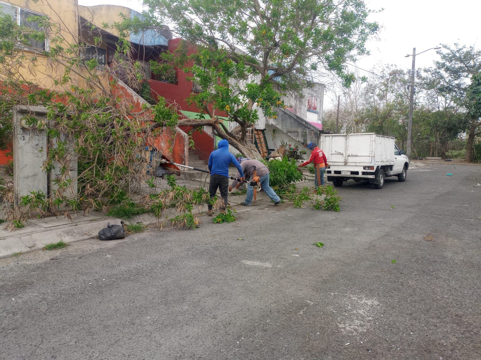 Más de 180 reportes atendidos en municipio de Veracruz