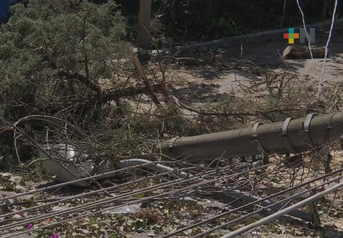 Fueron 85 reportes atendidos en Xalapa por fuertes vientos