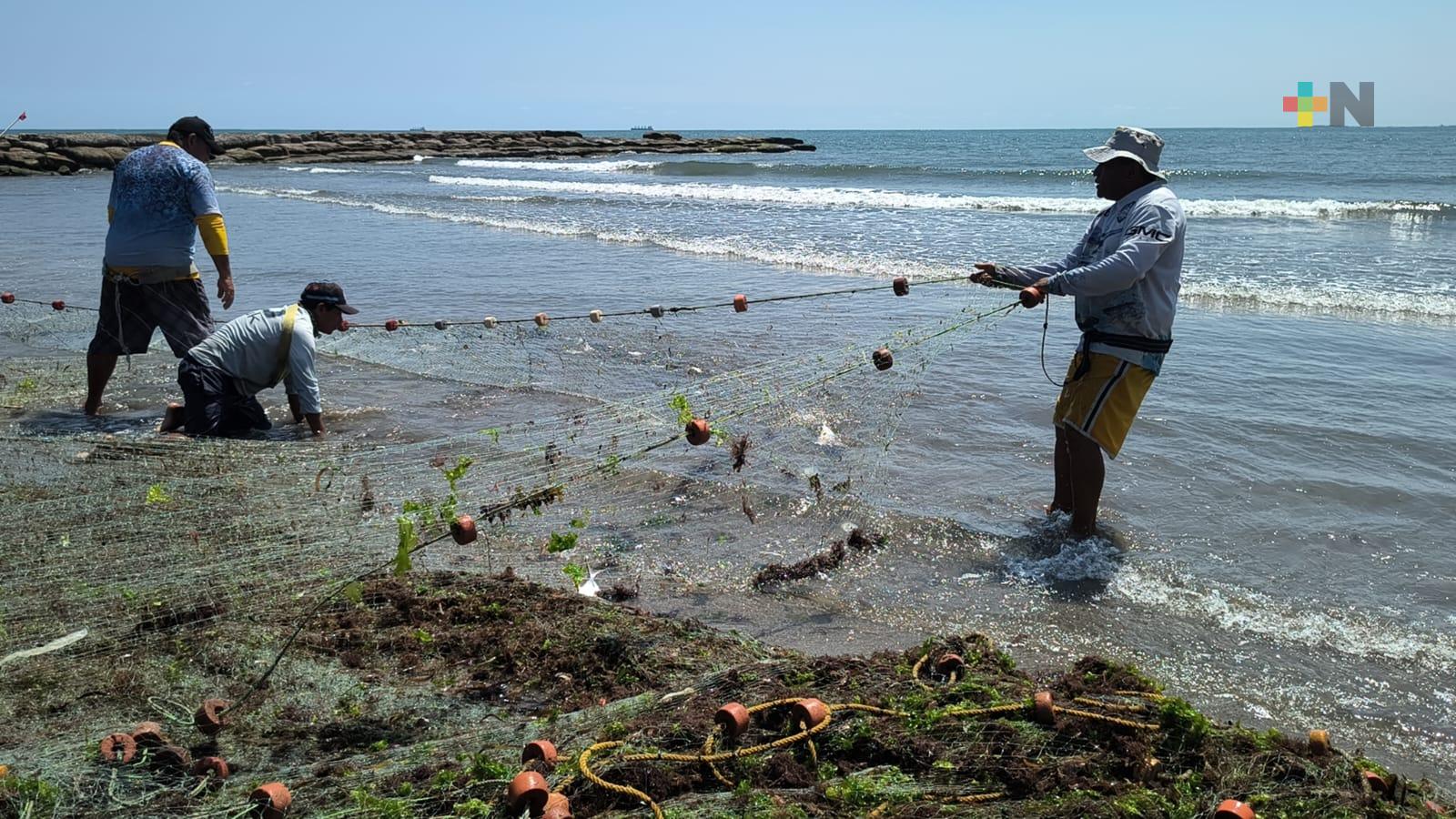 Se entregarán apoyos a más de 20 mil pescadores en el estado de Veracruz: Gobernadora