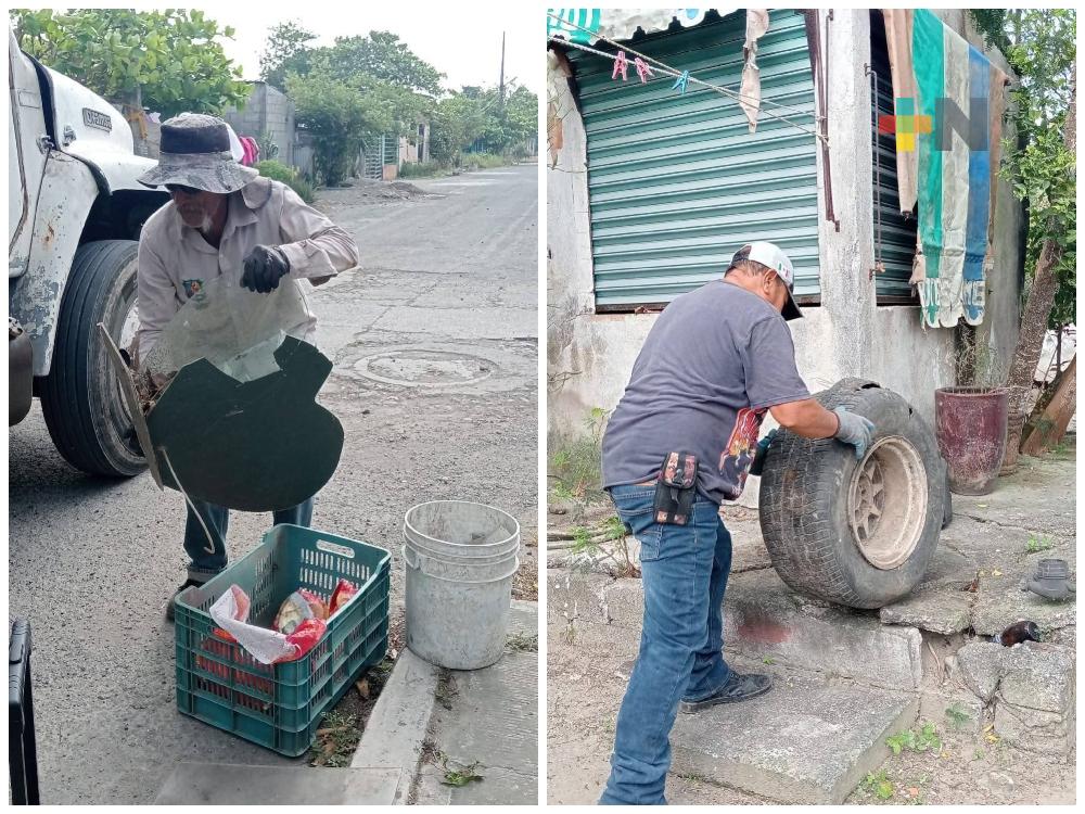 En Nautla se combate a los mosquitos transmisores de enfermedades