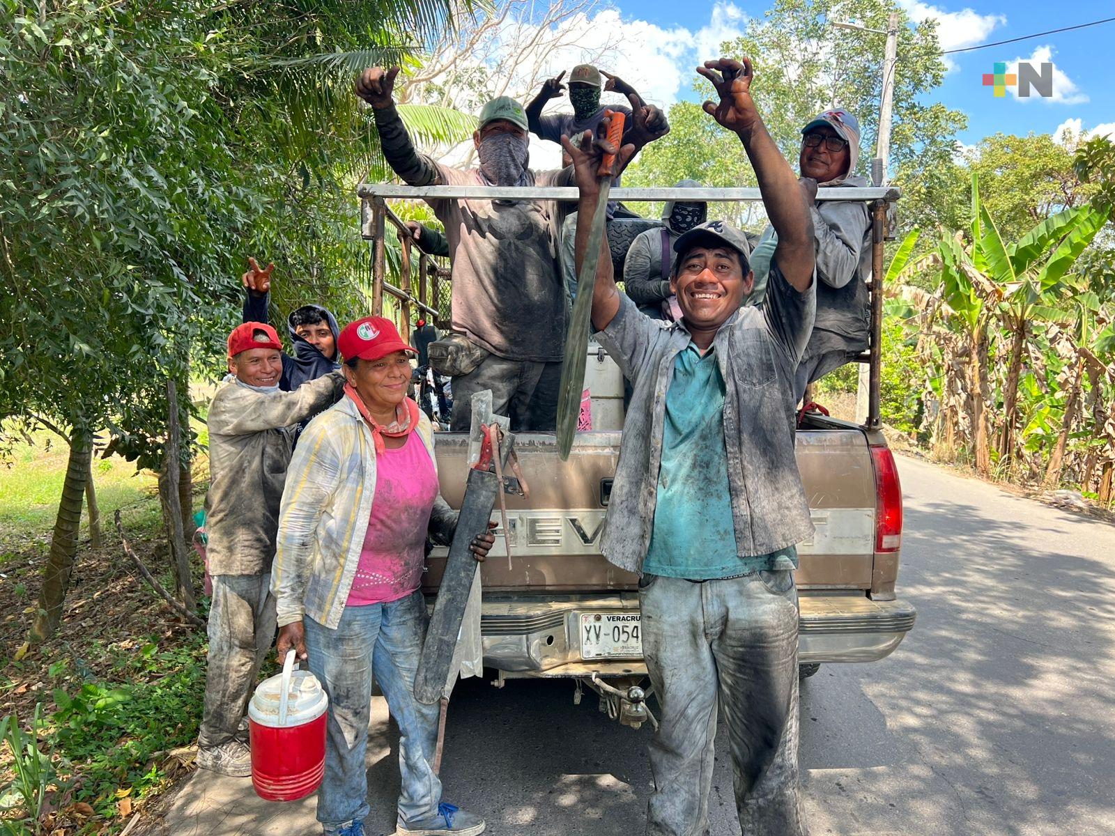 El corte de caña: trabajo duro bajo el sol veracruzano