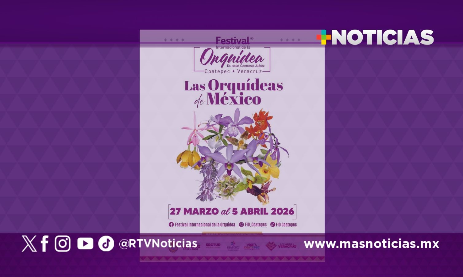 Coatepec celebra su riqueza natural con el XVII Festival Internacional de la Orquídea