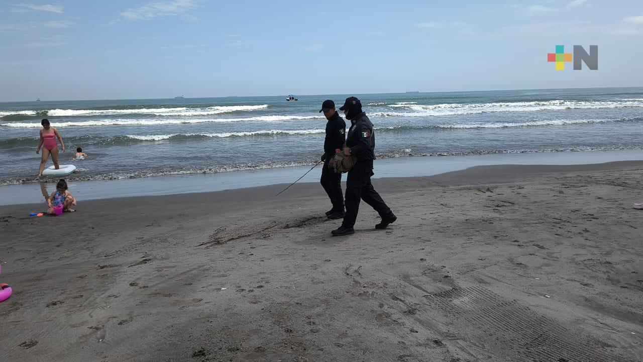 Continúan trabajos de limpieza en playas de Boca del Río