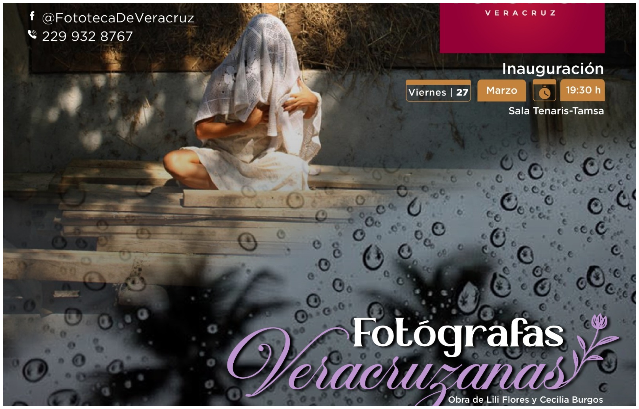 Invita Secver a muestras fotográficas de Cecilia Burgos, Lili Flores y Flor Tronco