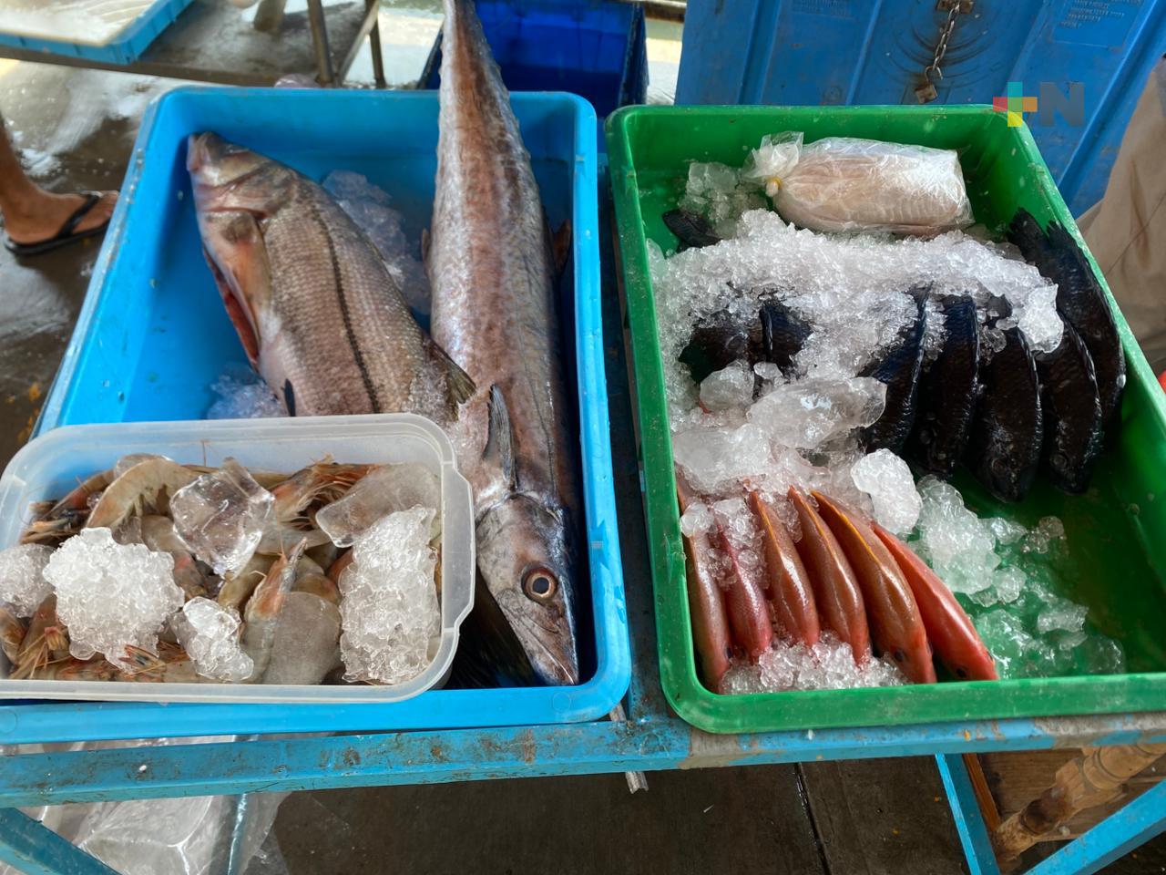 Mínima la presencia de chapopote en playas de la ciudad de Veracruz