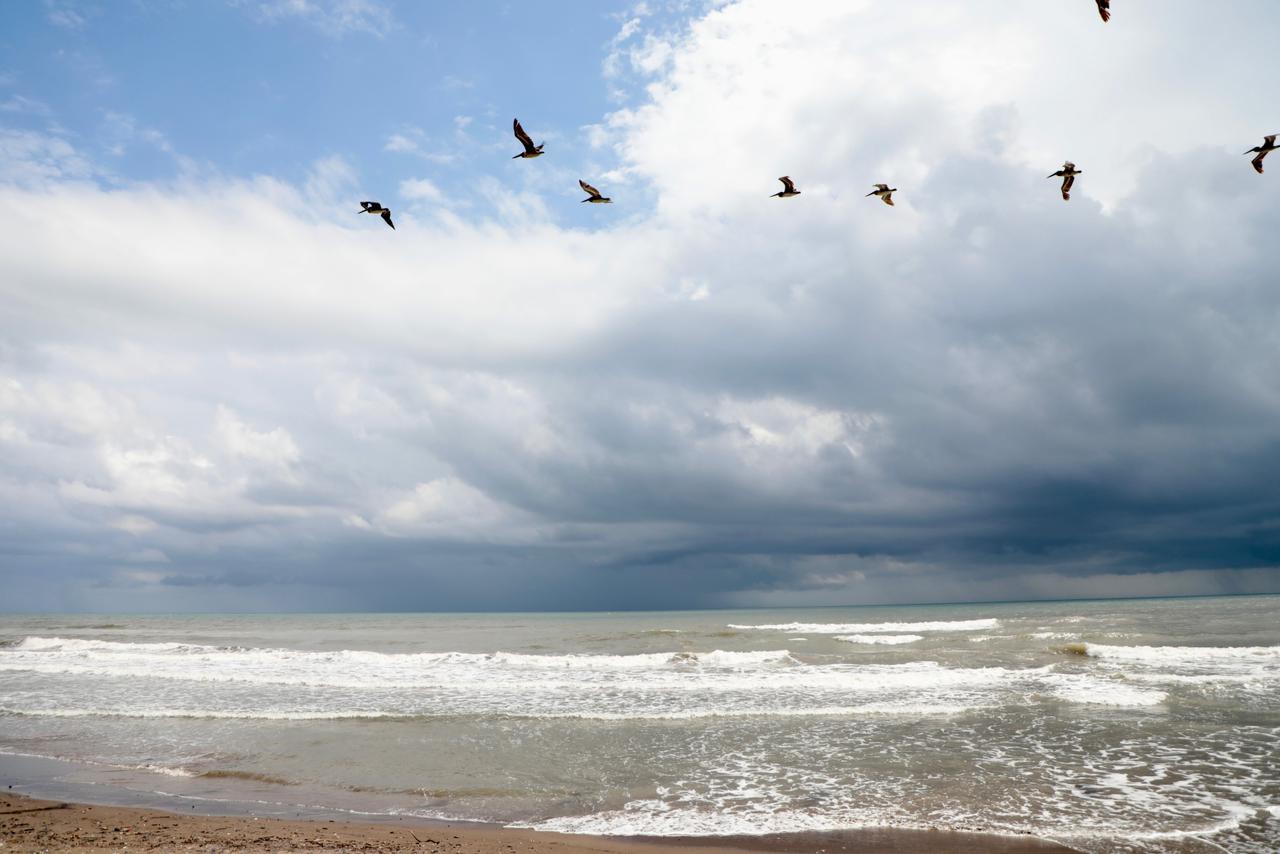 Playas de Alvarado en buen estado; llaman a evitar desinformación