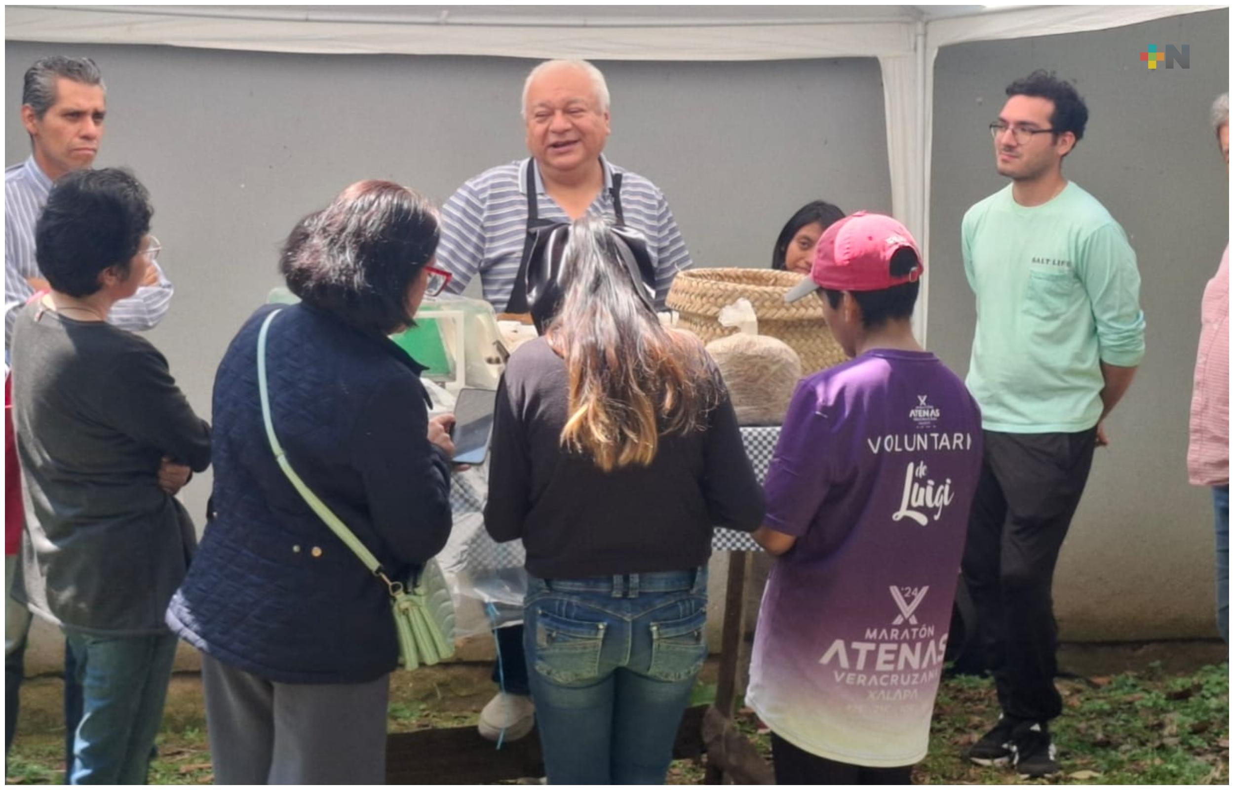 En Xalapa promueven la producción doméstica de hongos comestibles