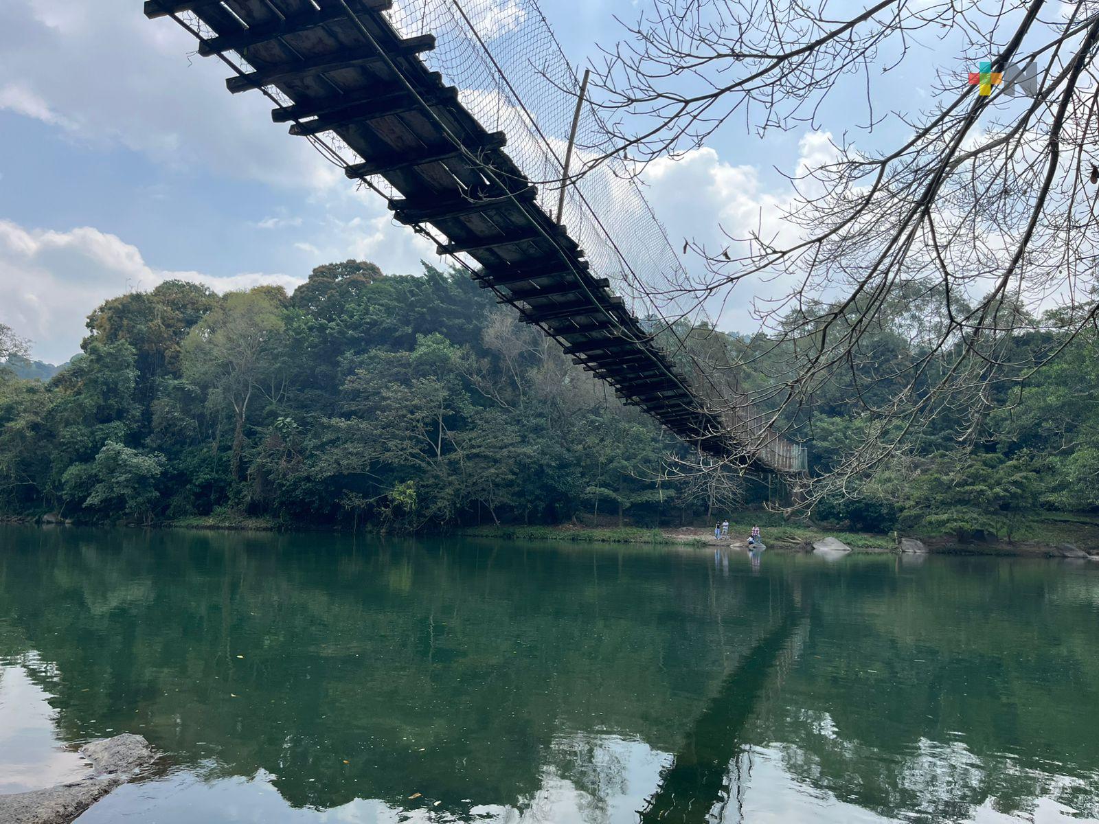 Puente colgante de Tlapacoyan en abandono