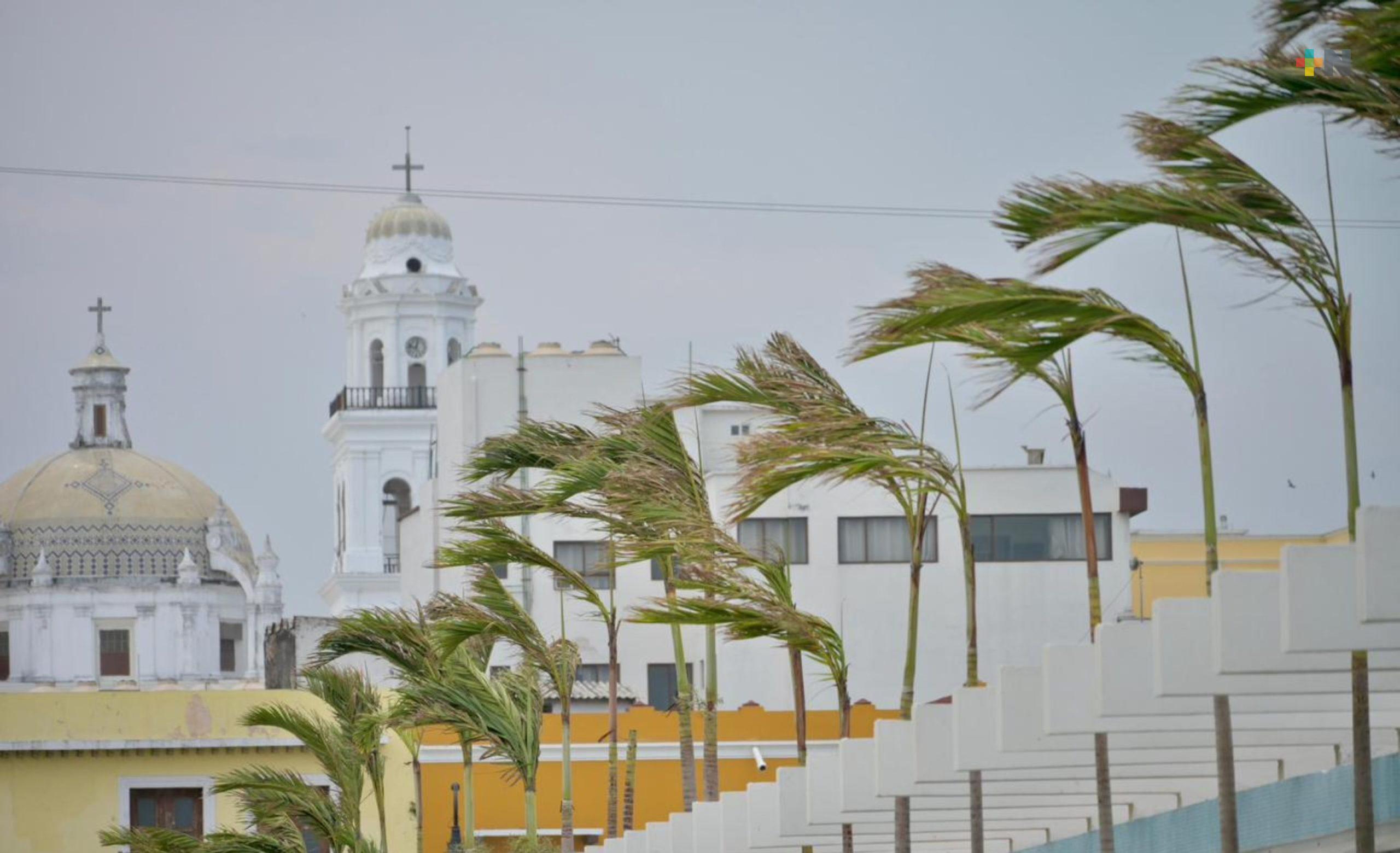 Múltiples reportes de árboles y postes caídos por efectos de frente frío en ciudad de Veracruz