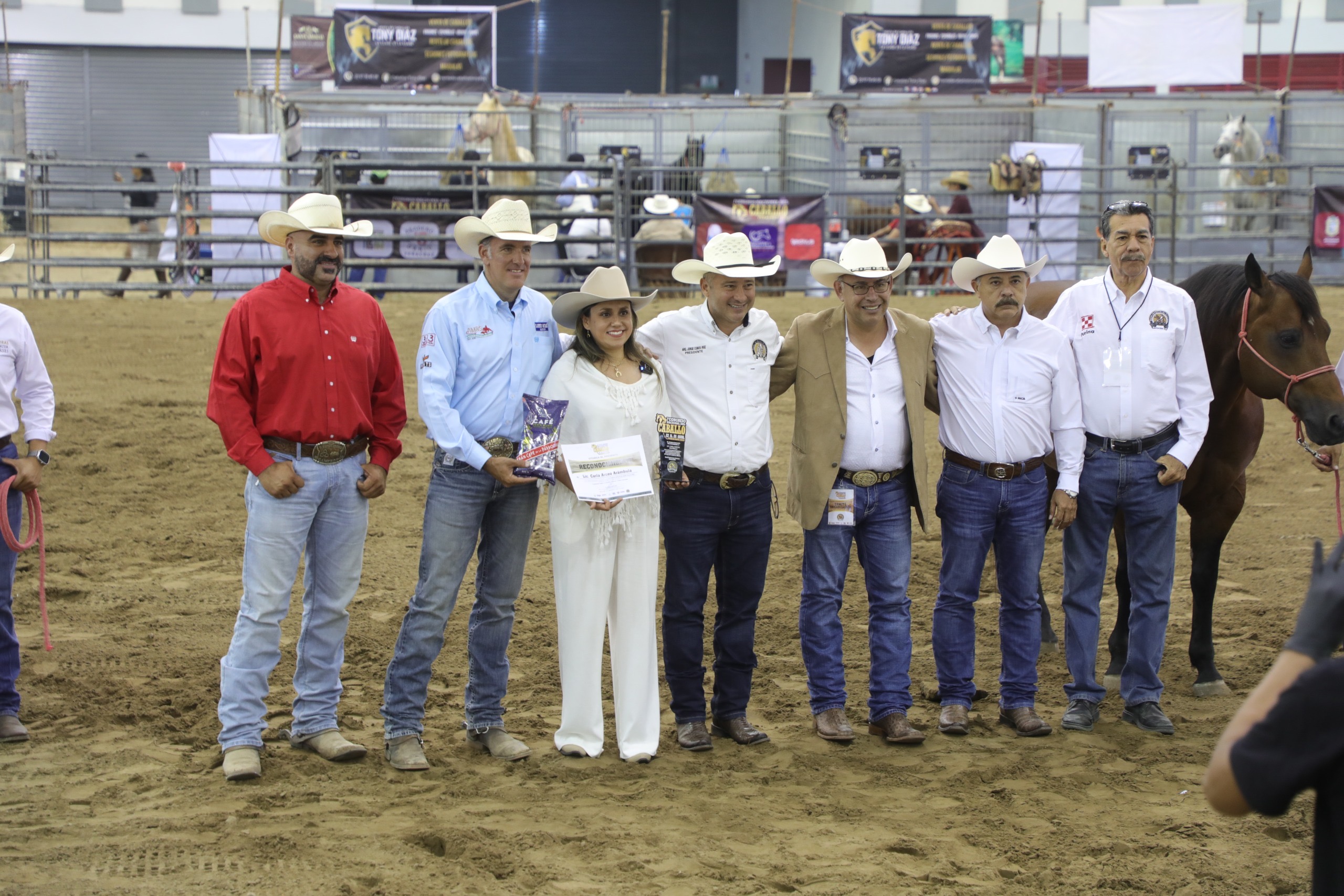 Veracruz, punto de reintroducción del caballo en América del Norte