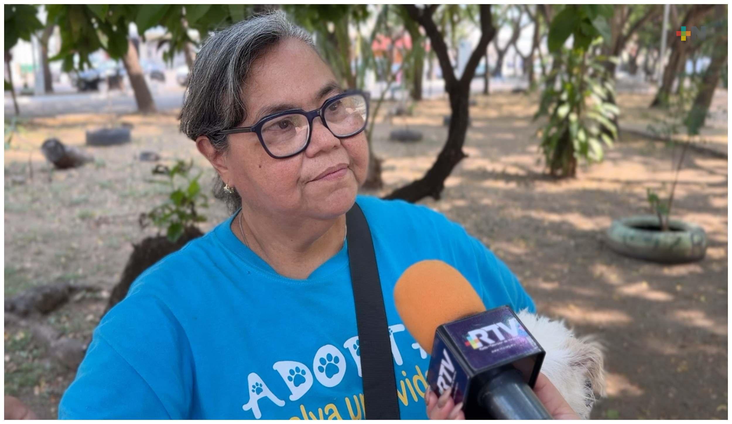 Incrementa presencia de tlacuaches; exhortan a población a respetarlos