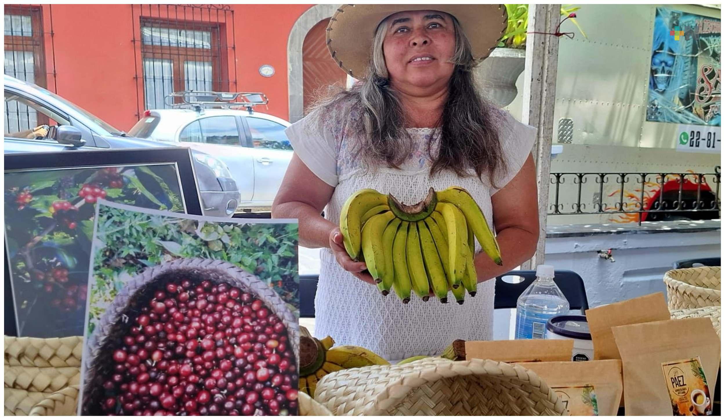 Reconocerán a cortadoras de café con monumento en Coatepec