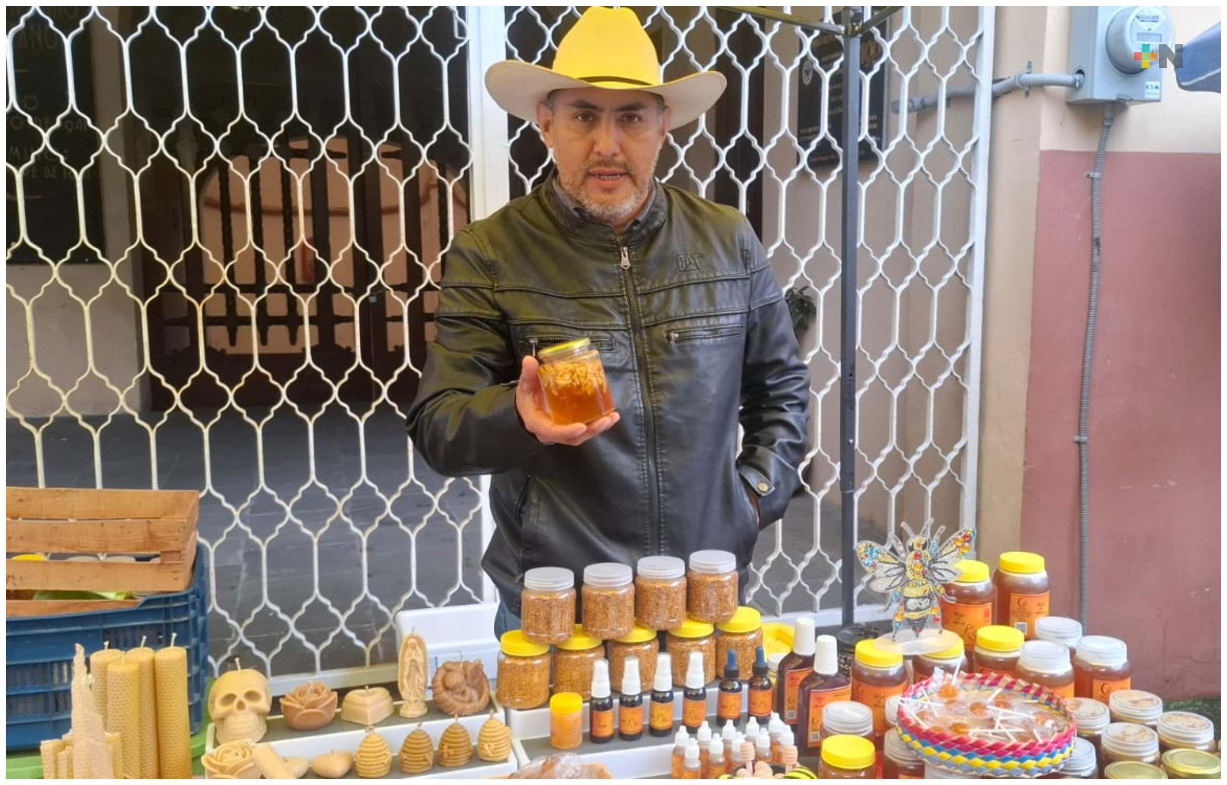 Frentes fríos y cambio climático afectan la producción de miel en Veracruz