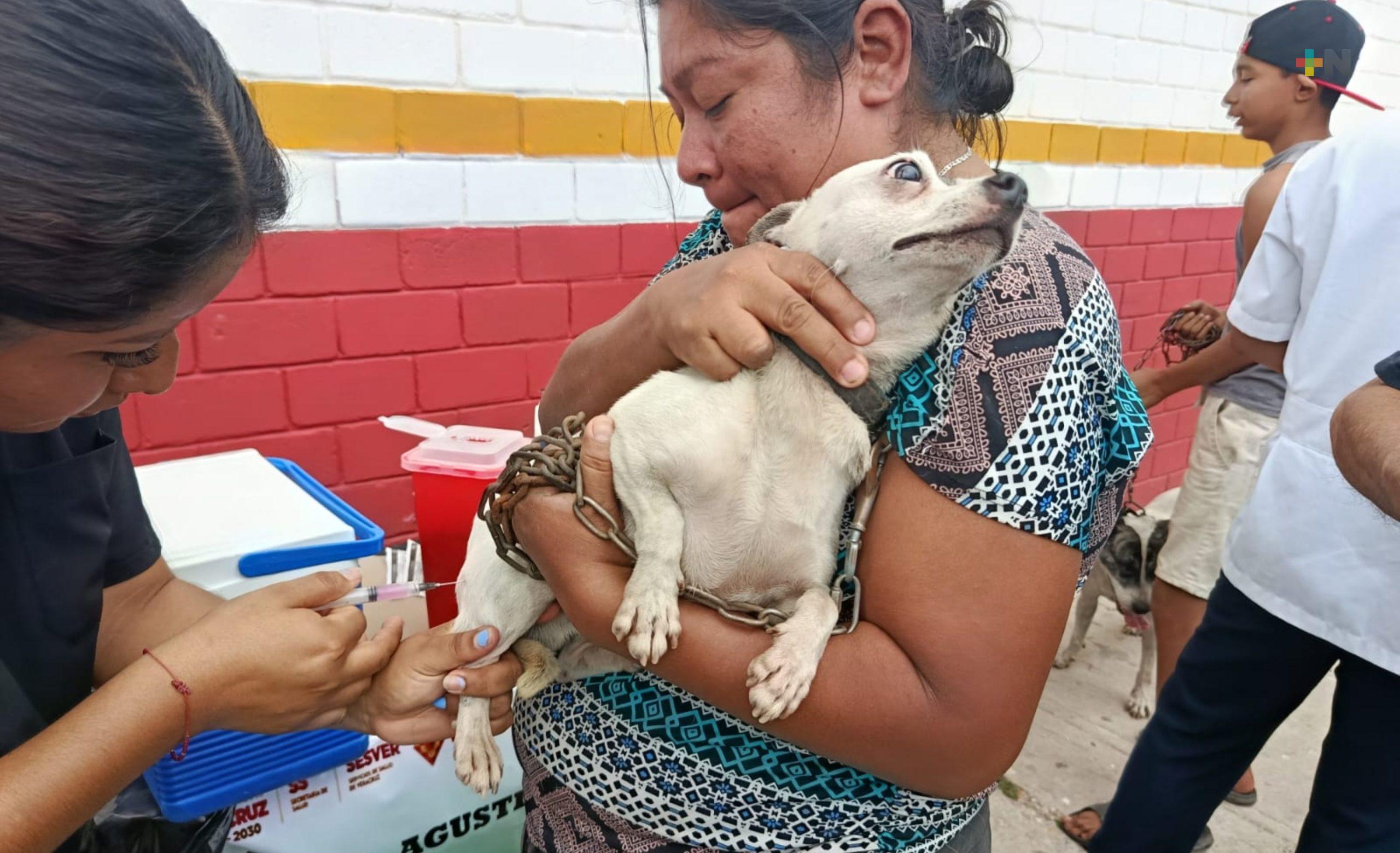 Comenzó vacunación antirrábica en Coatzacoalcos