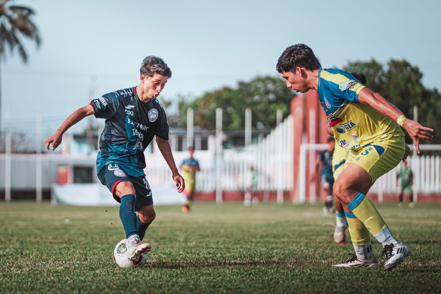 Delfines de Coatzacoalcos avanza a octavos de final de la temporada 2025-2026